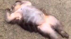 ขำๆ 😁😁😁