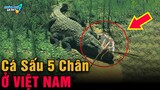 ✈️ Giải Mã 6 Bí Ẩn Huyền Thoại Ly Kỳ Và Đáng Sợ Nhất VN Người Việt Không Hề Hay Biết|Khám Phá Đó Đây