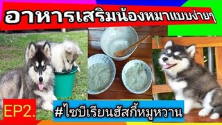 อาหารเสริมน้องหมาแบบง่ายๆEP2.#ไซบีเรียนฮัสกี้หมูหวาน#Siberian huskies