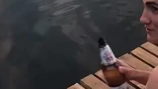 如何用啤酒钓大鱼！