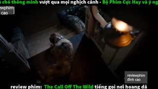 chú chó thông minh p1 #reviewphimdinhcao