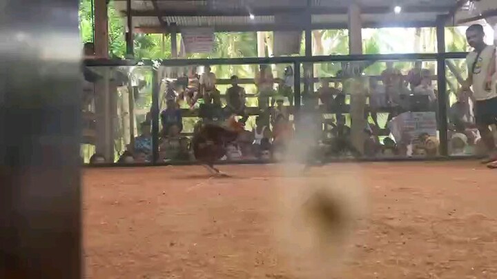 1st fight win..#highlights