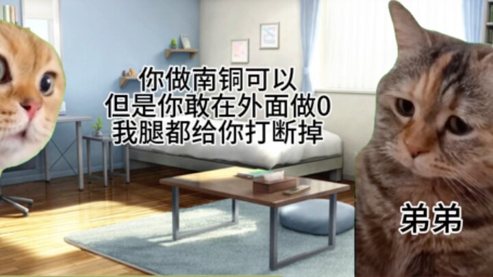 【Cat meme】I suddenly realized that my brother is a copper and I am an aluminum copper...