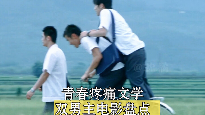 A roundup of Chinese youth “pain literature” films with dual male leads—which one hit you the hardes