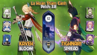 C0 Kaveh Bloom & C1 Tighnari Spread | La Hoàn Thâm Cảnh Tầng 12 | Genshin Impact 3.8