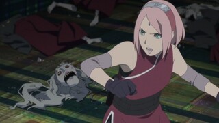 Naruto Sakura