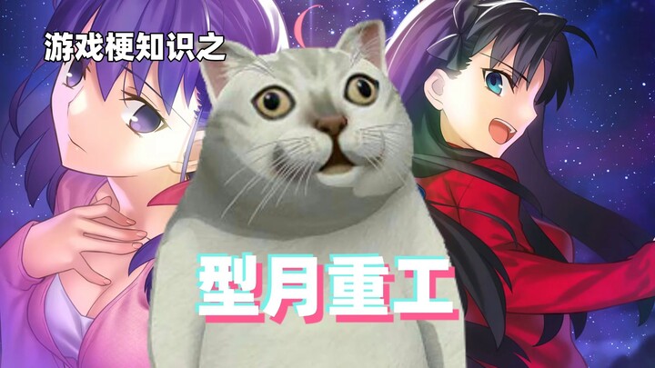 Pengetahuan Meme Game: Industri Berat Type-Moon