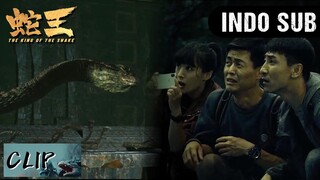 CLIP | Tidak sengaja membobol masuk ke istana ular bawah tanah | The King of Snake【INDO SUB】