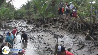 Bà Con Ở Giồng Trôm Xem Rút Ống Bộng Bắt Cá Vui Như Ngày Hội | Hội Ngộ Miền Tây - Tập 529