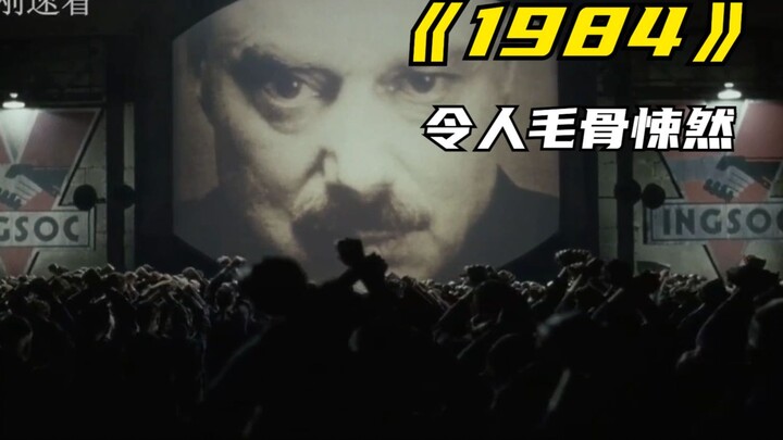 In-Depth Analysis of “1984”: What Does 2 + 2 Equal?