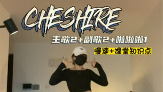 本段有需要基本功解析带练的动作嘛