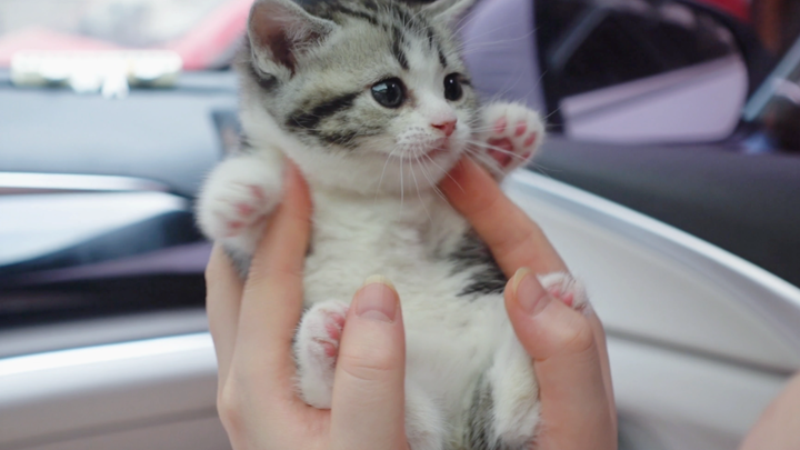 Itu sebenarnya memanggilku ibu~