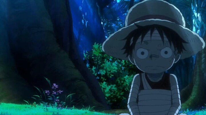 Sabo: Then, Luffy must be very difficult to deal with, so please everyone