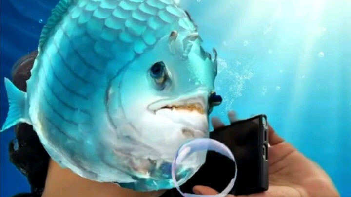 funny video