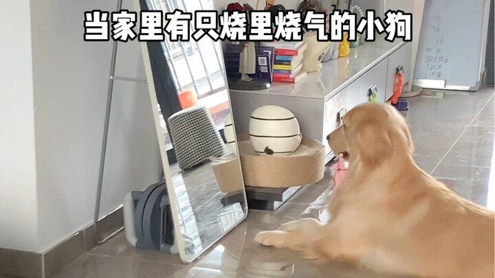 It's summer already, and Sakura-chan has no clothes to wear.