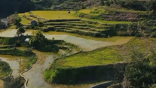 情真意切终是梦；生似红楼一场空。一曲入魂，在一对小小的耳机🎧里出来了。作品是用来欣赏的，非要弄出一个输赢来，精彩在评论区。阳光之下再无新事，钱老诚不欺我。