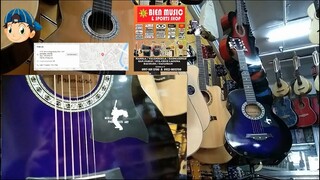 Premiere Acoustic Guitar Dark Violet
