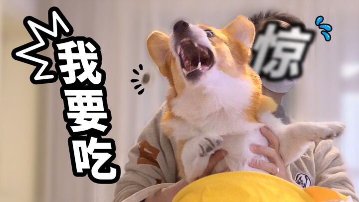 เกมขนมสุดฮาแบบนี้ อยากเล่นมั้ย? 【ดูบี้ขาสั้น】