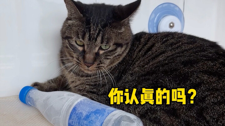 Mao Mao, I’m about to roast the mouse!