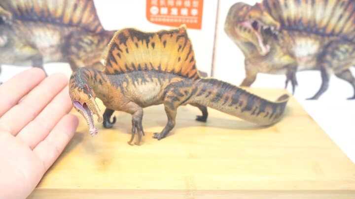 Pnso's newly restored Spinosaurus Essien unboxing video [Miaojun Review]