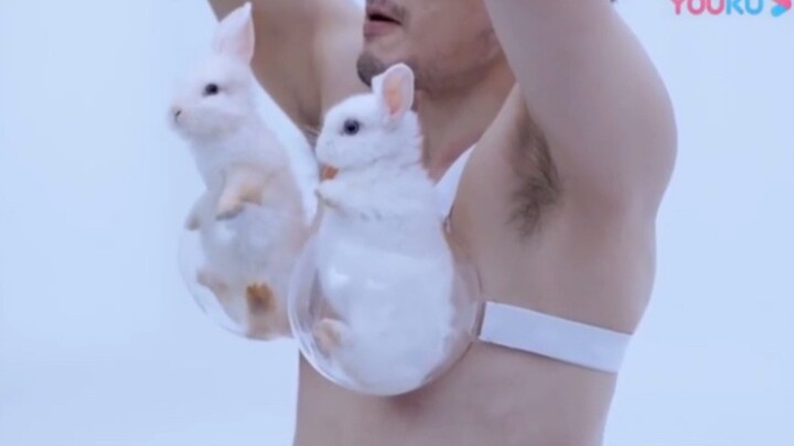 رجل يختبر وزن صدر المرأة باستخدام حيوان صغير