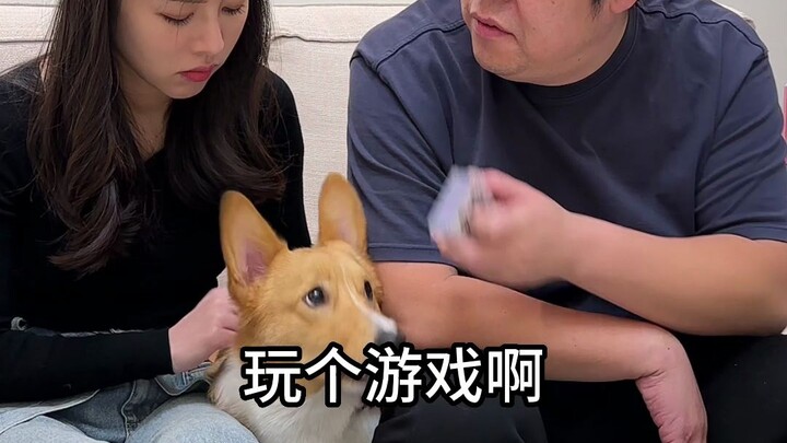 我怕真的不是预言家吗？