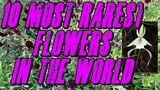 10 Most Rarest Flowers In The World