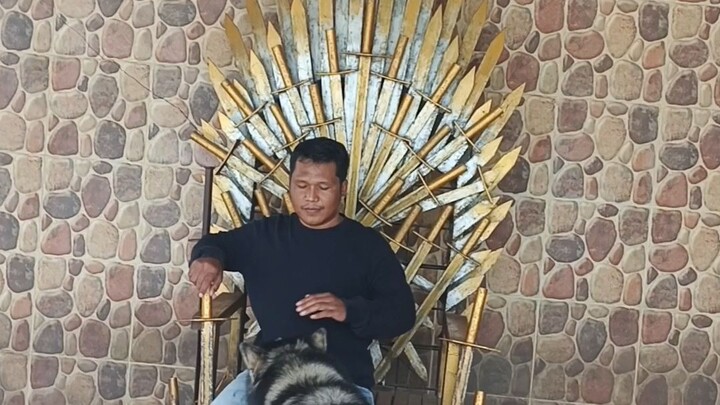 Anjing Alaska Lucu Penjaga Singgahsana Raja