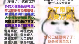 磁场多元宇宙•万猫之龙