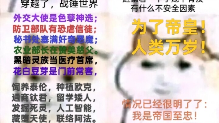 磁场多元宇宙•万猫之龙