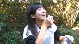 togenashi togeari 😎