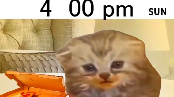 Chủ nhật