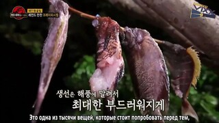 Law of the Jungle in Komodo [8] SUB INDO