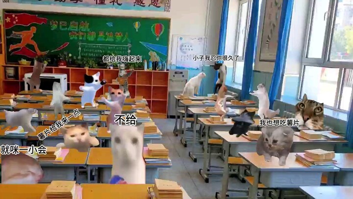We’re in self-study class