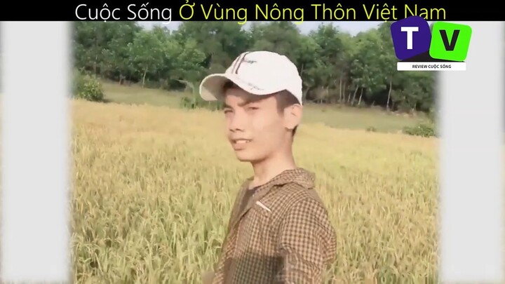 Cuộc Sống Ở Vùng Nông Thôn Việt Nam_phần 5