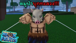 หมูป่าบุกทะลวง...!!!! [Blox Fruits]