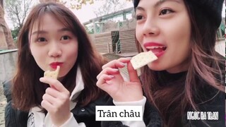 [DU HỌC TRUNG QUỐC] ĐỊNH HƯỚNG VIỆT DÃ LÀ GÌ?? 🏃🏾‍♂️🏃‍♀️ | 定向越野 · 上海📍