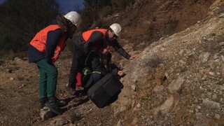 Au Portugal, le projet d'une mine de lithium suscite la controverse • FRANCE 24