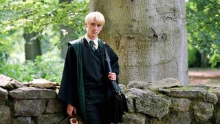 หนุ่มหล่อที่สุดในสลิธีริน-เดรโก มัลฟอยแห่ง <Harry Potter>