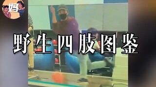 【野生人类图鉴】我怎么就管不住我这手呢
