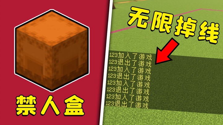 Minecraft: A box and a few books can cause you to be disconnected indefinitely. Is this true?
