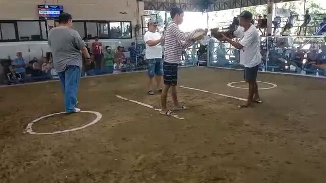 win bornok line