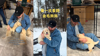 عندما رأيت كلبي الجولدن ريتريفر للمرة الأولى 💓🥺