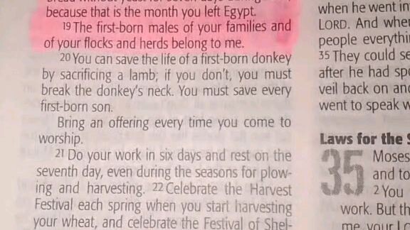 Daily Verse.        Exodus 34:17-20