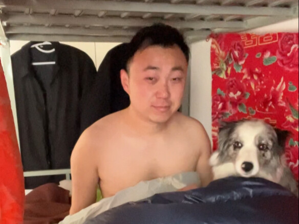 90后与狗为伴躺平432天的小帅，强制开机第20天，兄弟们开干！