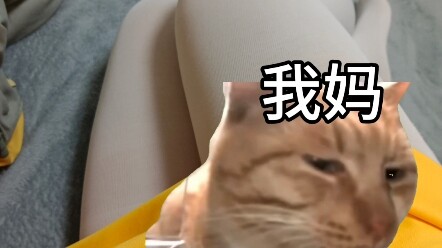 当你家长发现你的相册时