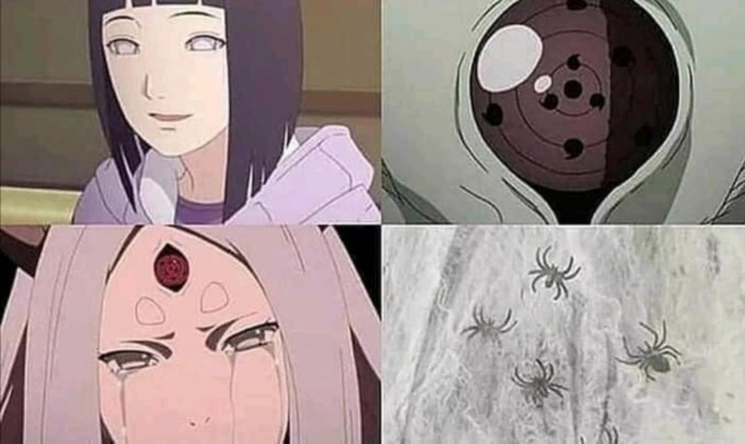 Daily Silly Memes 147