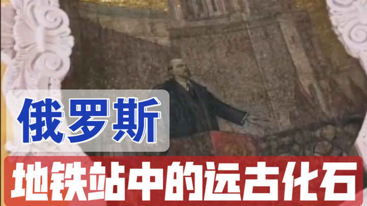 Ancient Fossils Found in a Russian Metro Station