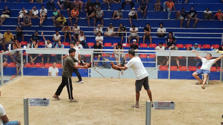 Airwolf Sweater x Blueface Hatch - loss