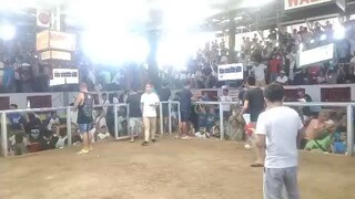 Boston Rh win